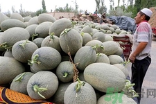 便秘可以吃哈密瓜嗎？哈密瓜可以治療便秘嗎？