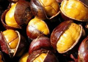 孕婦吃生板栗好還是熟的好？孕婦可以吃熟板栗嗎？