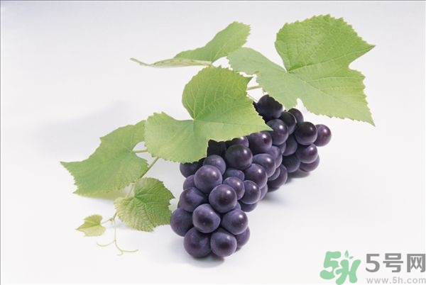 吃葡萄不吐葡萄皮好嗎？葡萄皮的功效與作用