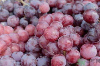 葡萄酒怎么做好喝？葡萄酒的功效與作用