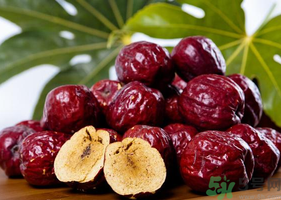 吃鮮棗補(bǔ)血嗎？吃什么棗補(bǔ)血最好？