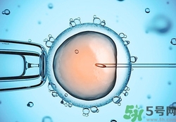 試管嬰兒要多少錢？做試管嬰兒痛苦嗎