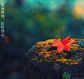 秋分做什么運(yùn)動(dòng)好？秋分運(yùn)動(dòng)注意事項(xiàng)