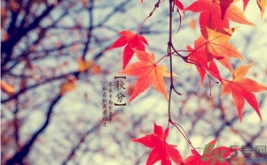 秋分做什么運(yùn)動(dòng)好？秋分運(yùn)動(dòng)注意事項(xiàng)