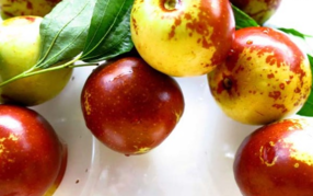 吃新鮮棗子會(huì)胖嗎？吃新鮮棗子會(huì)長(zhǎng)胖嗎？