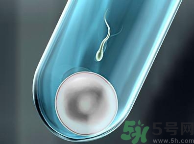 做試管嬰兒要多長時間？做試管嬰兒可以選擇性別？