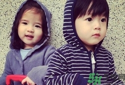 龍鳳胎是怎么形成的？試管嬰兒能做龍鳳胎嗎？