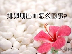 排卵期不懷孕什么原因？排卵期出血