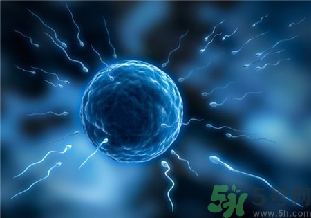 做試管嬰兒要多長時間？做試管嬰兒可以選擇性別？