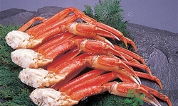 雪蟹怎么吃?雪蟹的營養(yǎng)價(jià)值