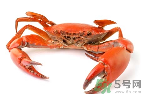 10月吃陽澄湖大閘蟹好嗎？大閘蟹怎么做好吃？