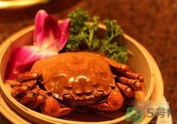 大閘蟹多吃好嗎？大閘蟹吃多少合適？