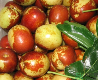 吃鮮棗的好處和壞處？吃鮮棗有什么好處？