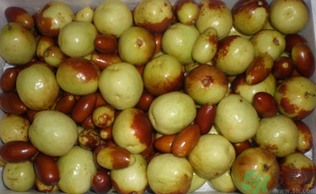 吃青棗子會胖嗎？青棗子吃多了會胖嗎？