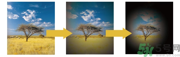 青光眼可以治愈嗎？青光眼怎樣治療？