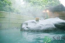 泡溫泉可以喝酒嗎？喝酒后能泡溫泉嗎？