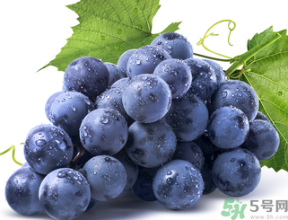 新鮮葡萄怎么保存？新鮮葡萄怎么保鮮？