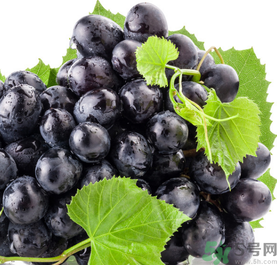 新鮮葡萄怎么保存？新鮮葡萄怎么保鮮？