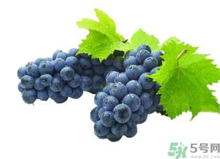 新鮮葡萄能放冰箱嗎？新鮮葡萄的保存方法