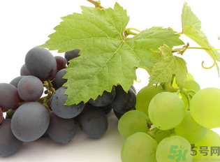 新鮮葡萄籽可以吃嗎？葡萄籽有什么作用？