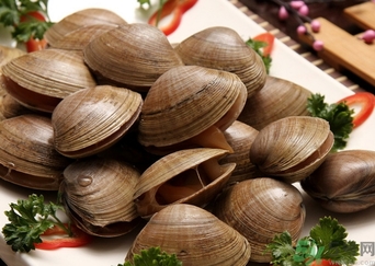 蜆子煮多長時間？蜆子怎么煮？