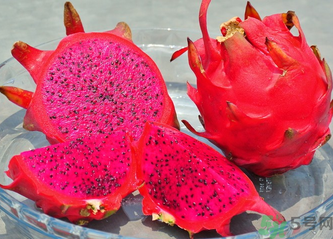 紅心火龍果的營養(yǎng)價值 紅心火龍果的功效與作用 紅心火龍果的營養(yǎng)價值 紅心火龍果的功效與作用