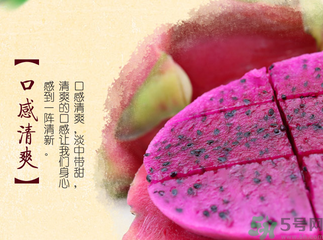 紅心火龍果的營養(yǎng)價值 紅心火龍果的功效與作用 紅心火龍果的營養(yǎng)價值 紅心火龍果的功效與作用