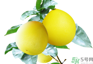 柚子一天最多吃多少？柚子一次吃多少合適？