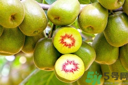 獼猴桃紅心黃心綠心哪個最好？黃心獼猴桃和紅心獼猴桃的區(qū)別
