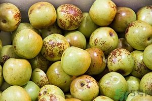 糖精冬棗怎么辨認(rèn)？糖精棗的鑒別方法