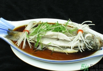 鱸魚是淡水魚還是海水魚？鱸魚是海魚嗎？