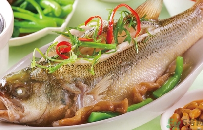 鱸魚和桂魚哪個好吃？鱸魚和桂魚的區(qū)別