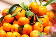 咳嗽可以吃橘子嗎？寶寶咳嗽可以吃橘子嗎？