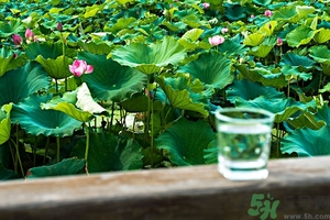 小蘇打能治癌癥嗎？蘇打水可以治癌癥嗎？