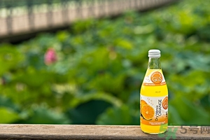 小蘇打能治癌癥嗎？蘇打水可以治癌癥嗎？