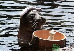 泡溫泉需要注意什么？泡溫泉注意事項(xiàng)