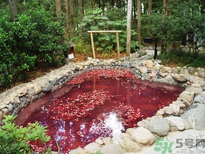 溫泉度假村哪里好？泡溫泉去哪里最好？