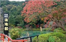 溫泉度假村哪里好？泡溫泉去哪里最好？