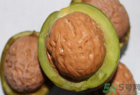 干核桃和濕核桃哪個好？干核桃和濕核桃的區(qū)別