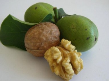 生核桃怎么保存？生核桃怎么保存最好？