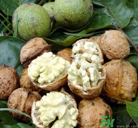 新鮮核桃吃多了會(huì)怎么樣？新鮮核桃吃多了會(huì)上火嗎？