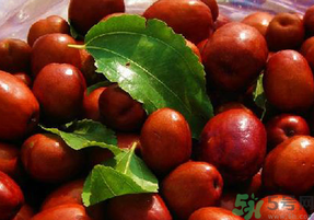 孕婦能吃新鮮紅棗嗎？新鮮紅棗孕婦可以吃嗎？