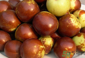 孕婦能吃新鮮紅棗嗎？新鮮紅棗孕婦可以吃嗎？