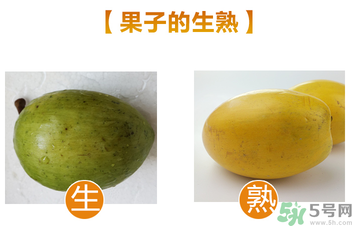 蛋黃果多少錢(qián)一斤？蛋黃果什么時(shí)候成熟？