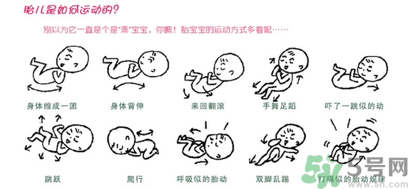 胎動(dòng)怎么數(shù)最正確？胎動(dòng)有什么規(guī)律？