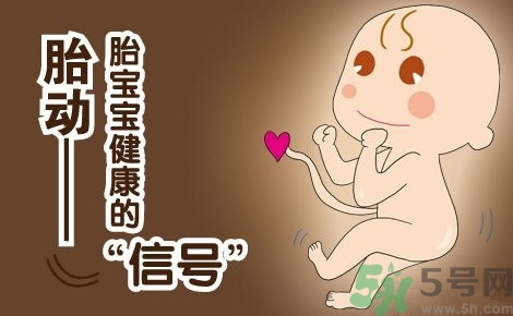 胎動(dòng)怎么數(shù)最正確？胎動(dòng)有什么規(guī)律？