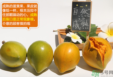 蛋黃果怎么催熟？生的蛋黃果如何催熟？