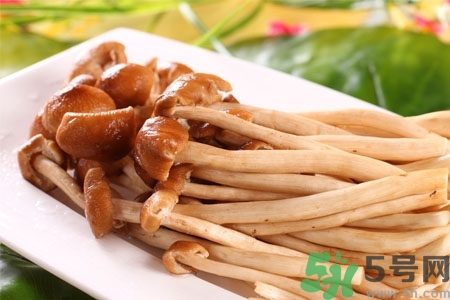 茶樹菇的營(yíng)養(yǎng)價(jià)值 茶樹菇的功效與作用
