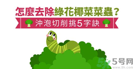 西蘭花里有蟲子怎么辦？花椰菜里面好多蟲怎么辦？