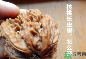 核桃長蟲了還能吃嗎？核桃長蟲子怎么處理？